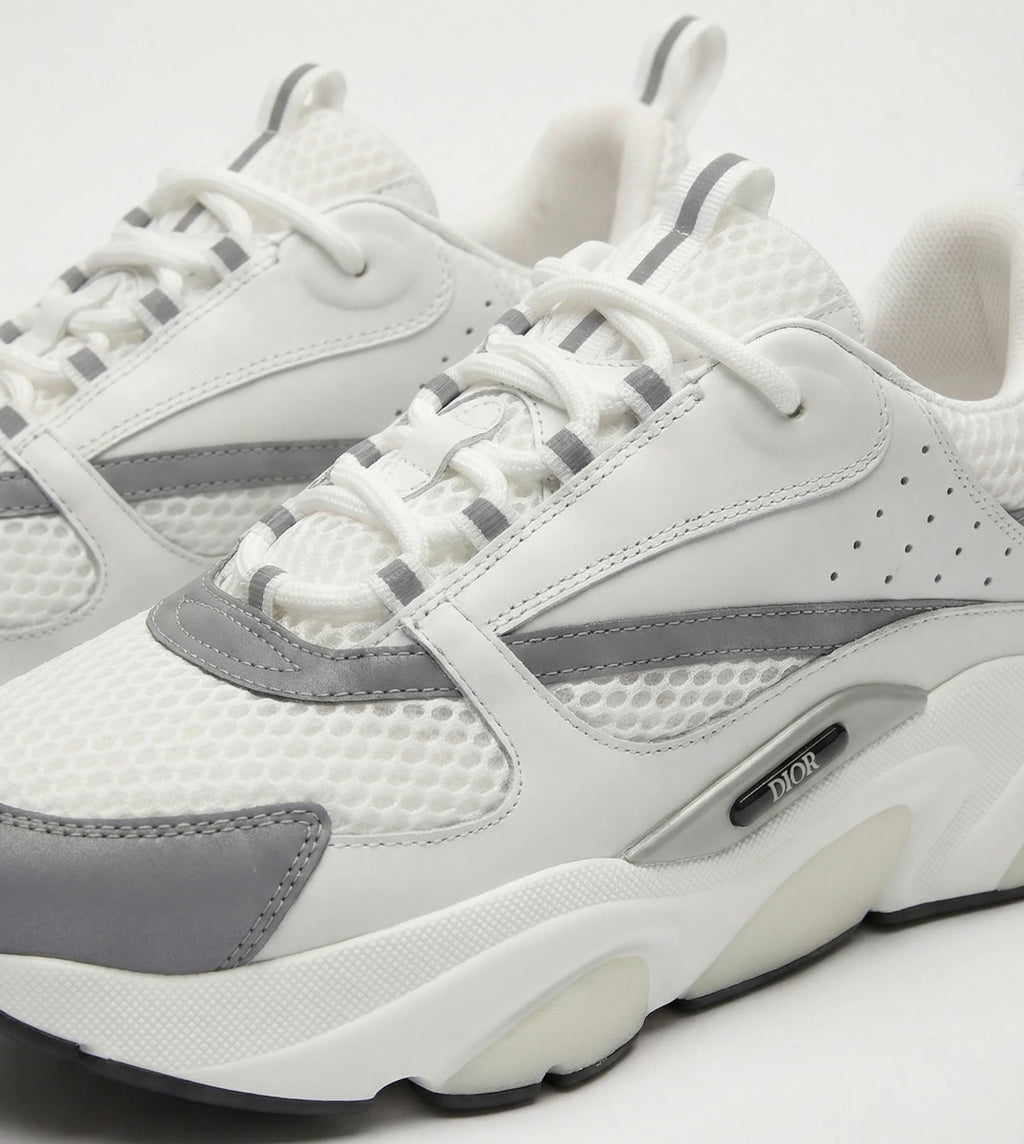 Dior B22 "White/Grey"